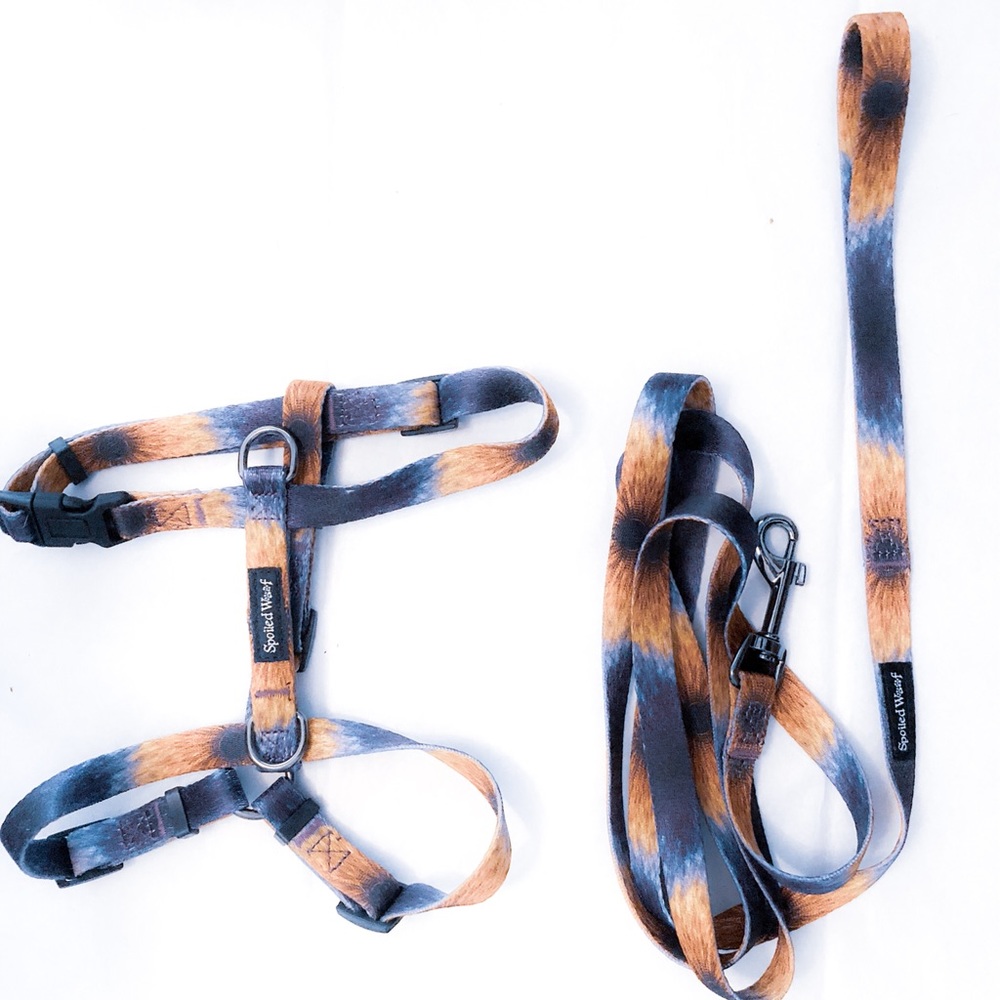 Harness & leash set